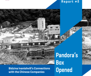 Pandora’s Box Opened Bidzina Ivanishvili’s Connections with the Chinese Companies Report N8