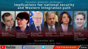The chairperson of Civic IDEA participated in the webinar on “Georgia's Domestic Challenges: Implications for national security and Western integration”