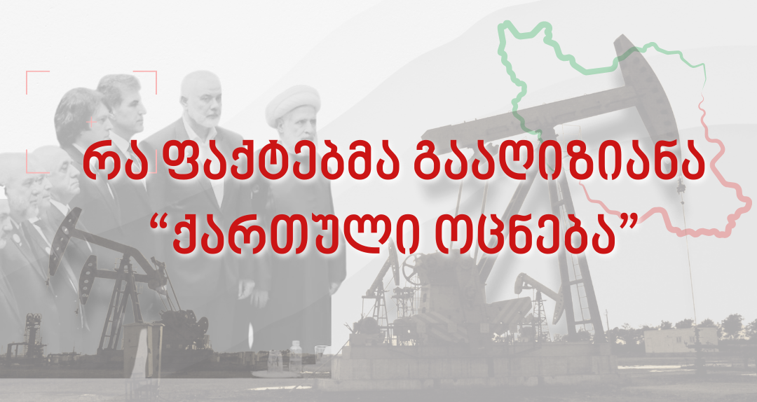 სამოქალაქო იდეას განცხადება მიზანმიმართული დეზინფორმაციული თავდასხმის შესახებ